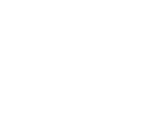 An icon representing specialized expertise in ground stabilization and reinforcement