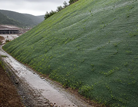 Erosion control mat reducing surface run-off and minimizing soil erosion on a landscaped slope